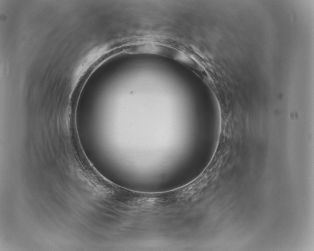 X0000089400152200706151235