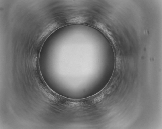 X0000089400153200706151235