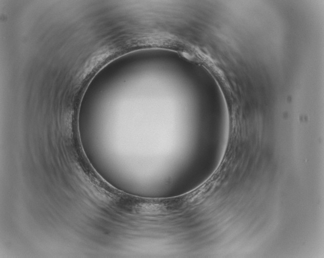 X0000089400154200706151235