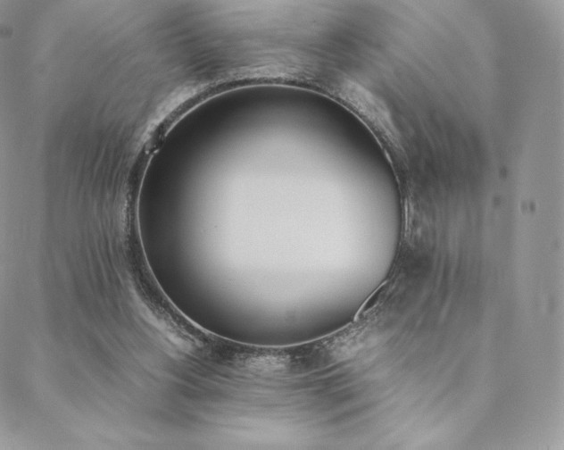 X0000089400156200706151235