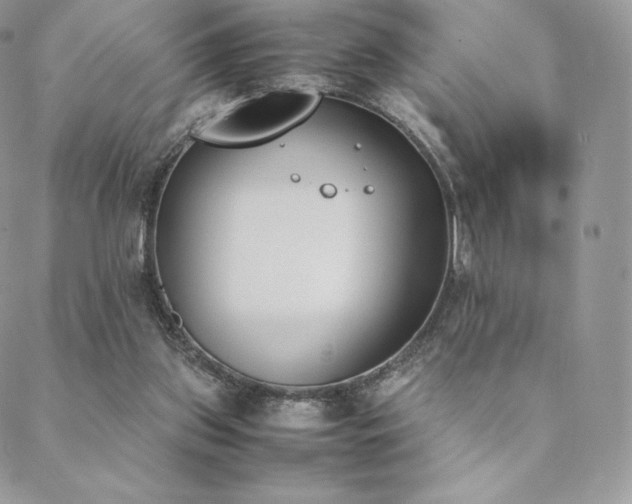 X0000089400157200706151235