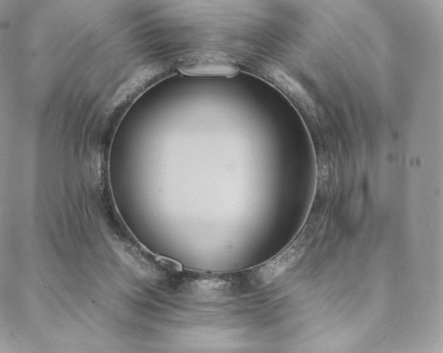 X0000089400158200706151235