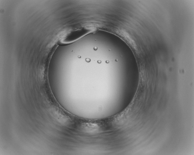 X0000089400159200706151235