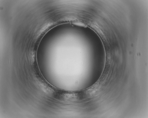 X0000089400160200706151235