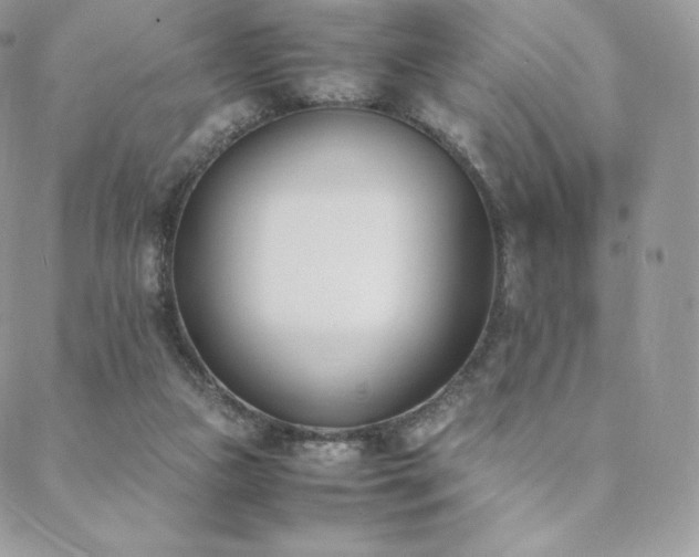 X0000089400161200706151235