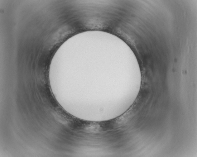 X0000089400162200706151235