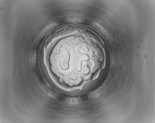 X0000089400163200706151235