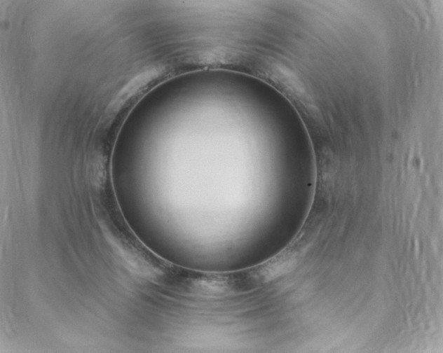 X0000089400164200706151235