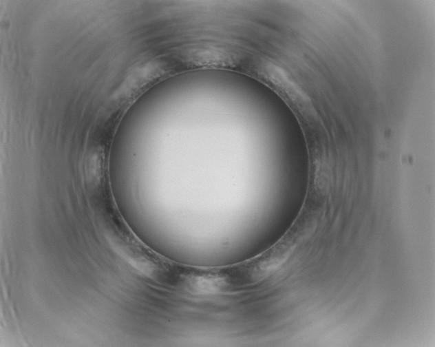 X0000089400165200706151235