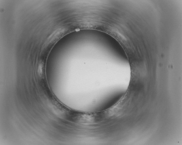 X0000089400166200706151235