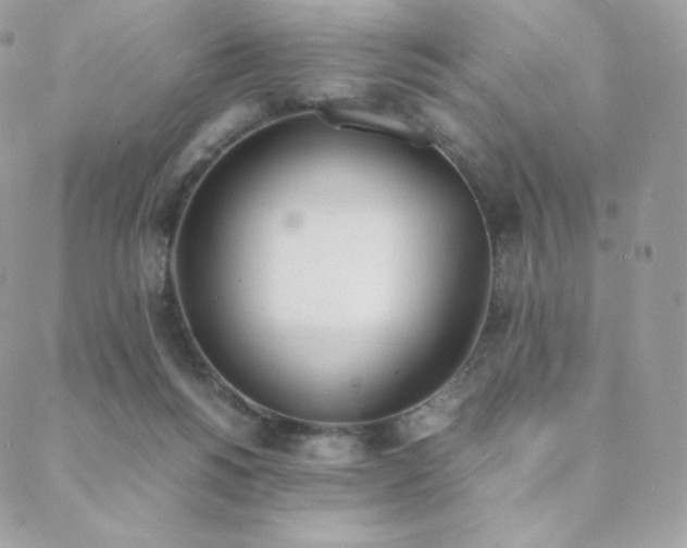 X0000089400168200706151235