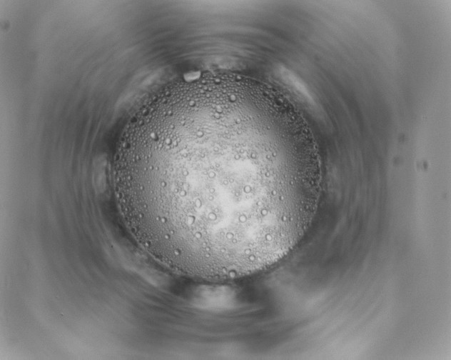 X0000089400169200706151236