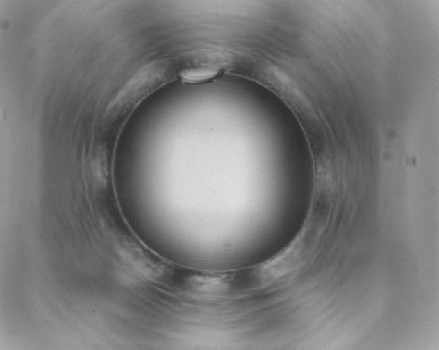 X0000089400170200706151236