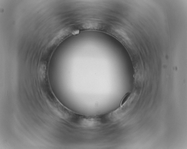 X0000089400171200706151236