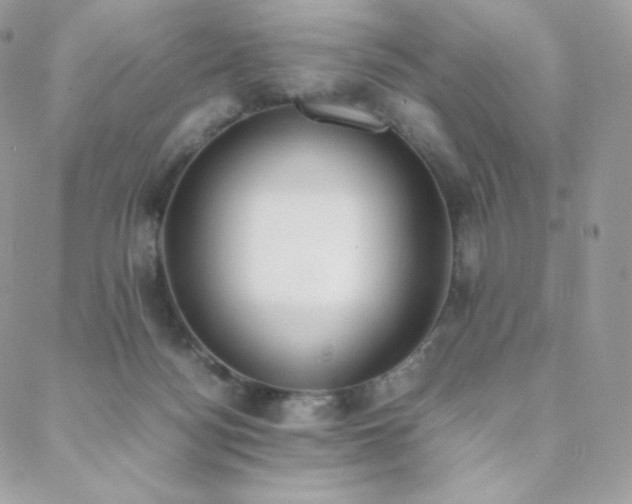 X0000089400172200706151236