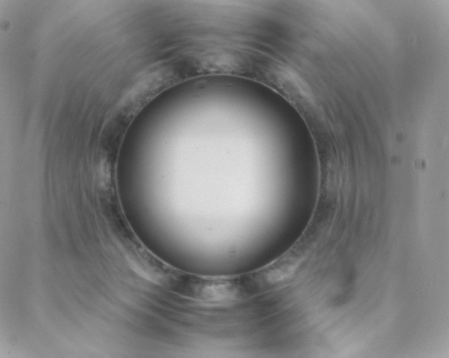 X0000089400173200706151236