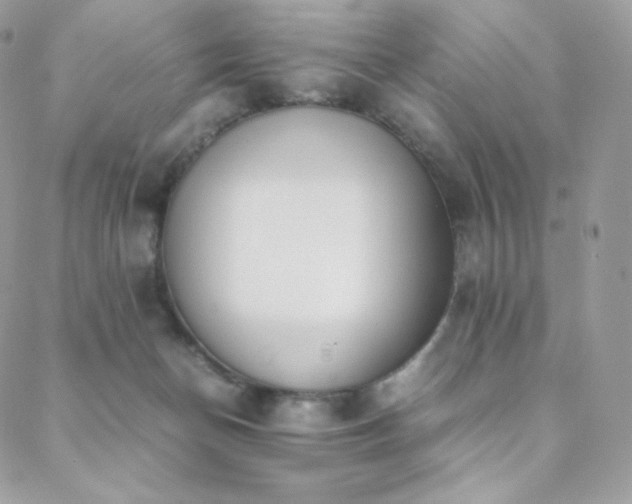 X0000089400174200706151236