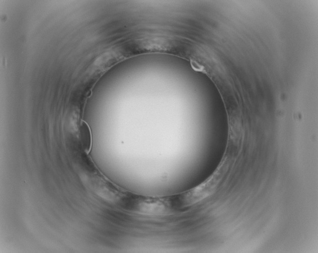 X0000089400175200706151236