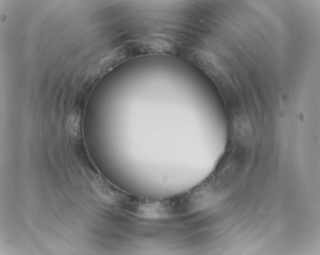 X0000089400177200706151236