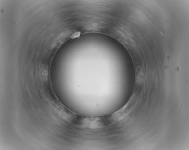 X0000089400179200706151236