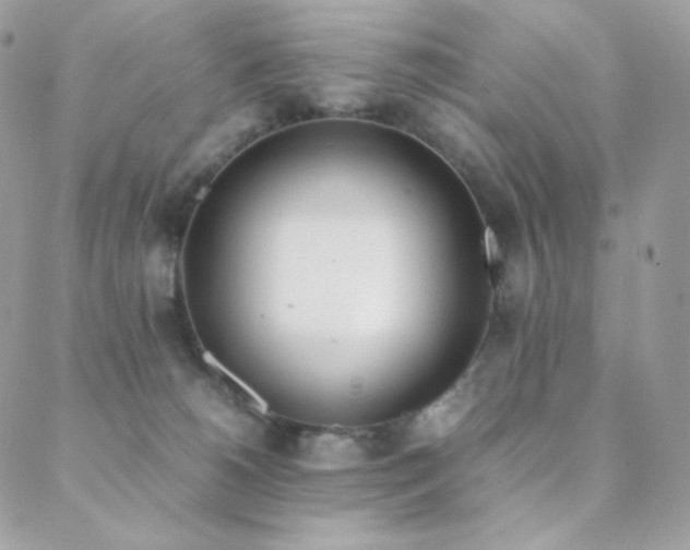 X0000089400180200706151236