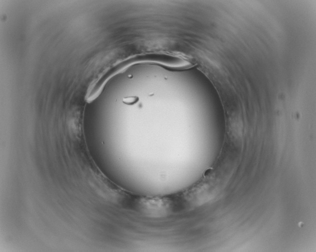 X0000089400181200706151236