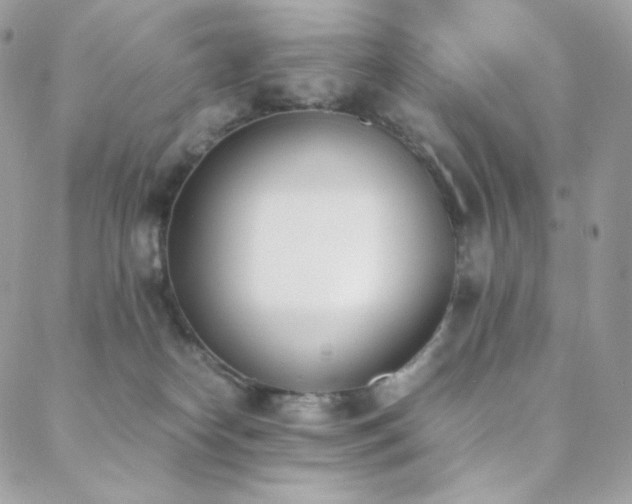 X0000089400182200706151236