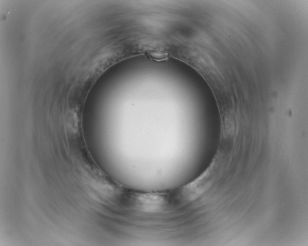 X0000089400183200706151236