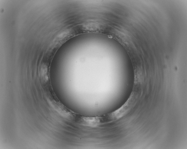 X0000089400187200706151236