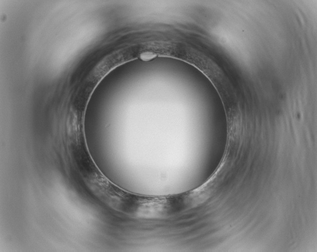 X0000089400191200706151236