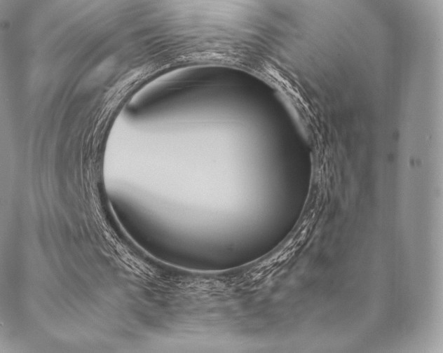 X0000089400193200706151235