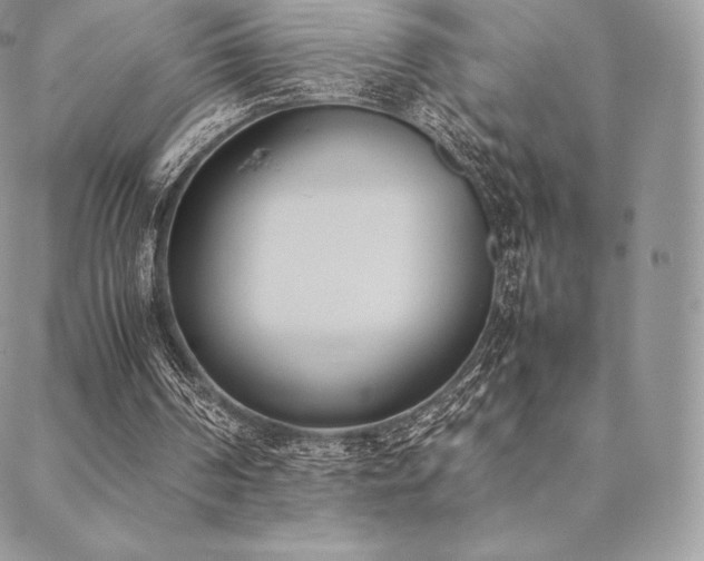 X0000089400194200706151235