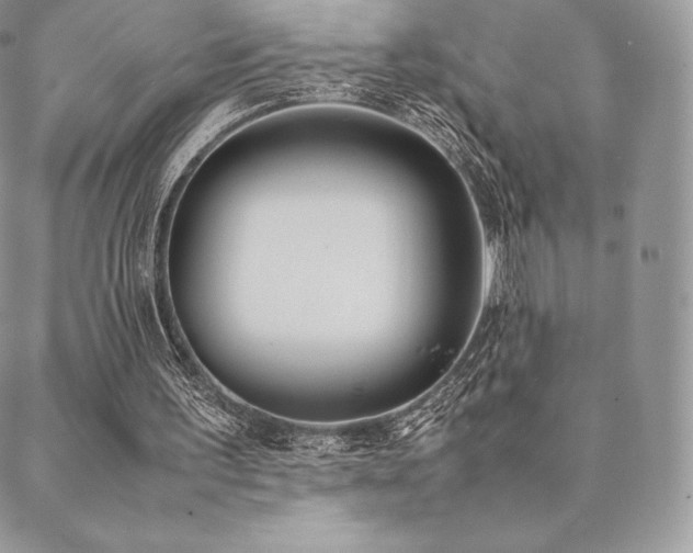 X0000089400195200706151235