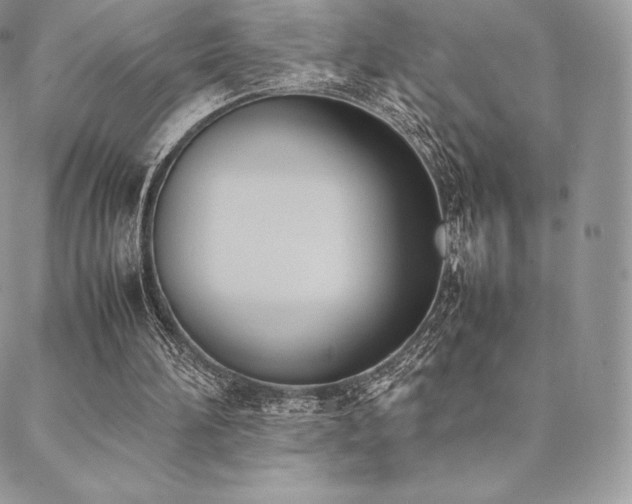 X0000089400196200706151235