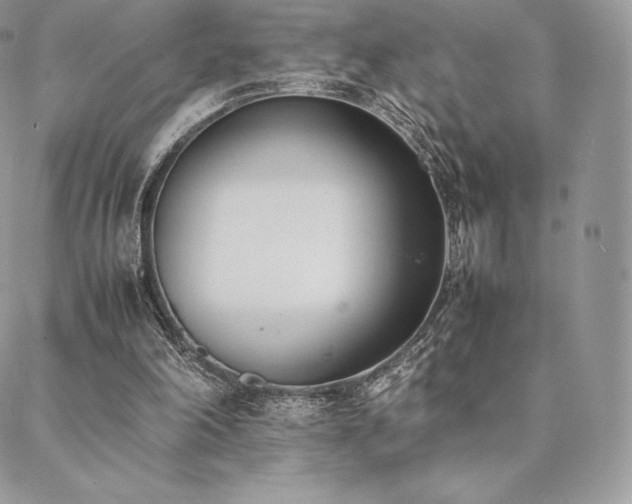 X0000089400198200706151235