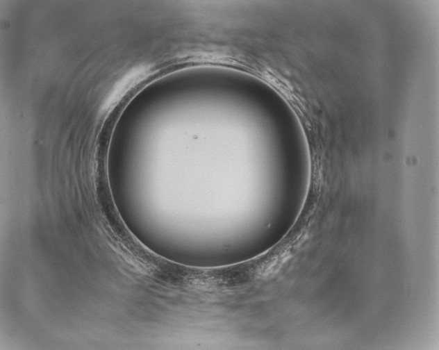 X0000089400199200706151235