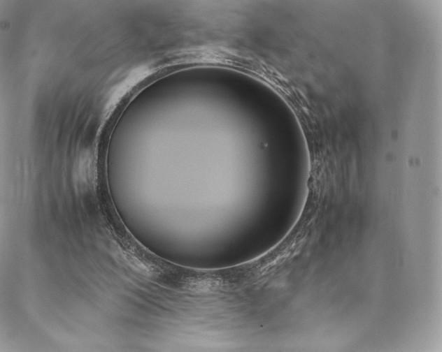 X0000089400200200706151235