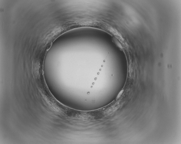 X0000089400201200706151235