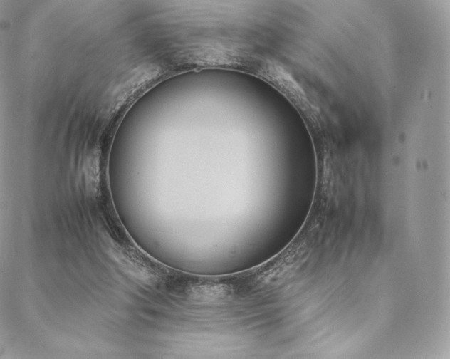 X0000089400202200706151235