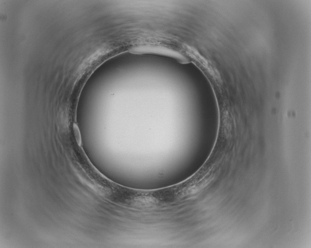 X0000089400203200706151235