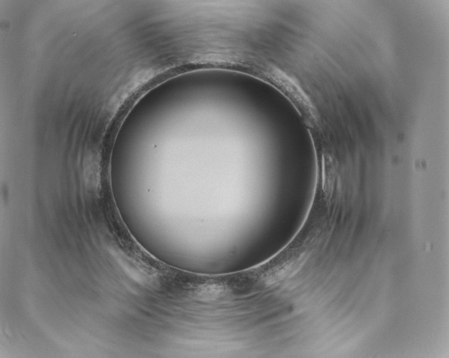 X0000089400204200706151235