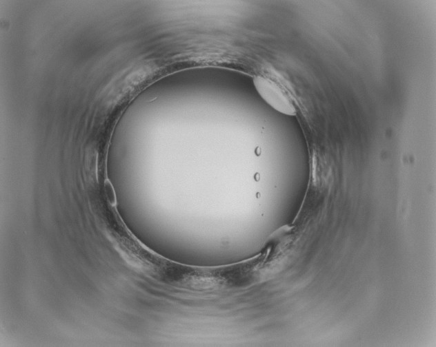 X0000089400205200706151235