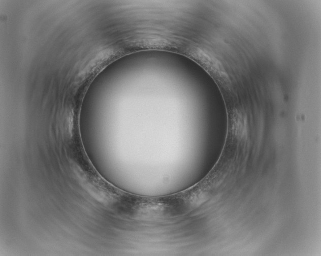 X0000089400206200706151235