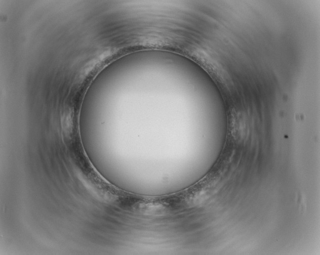 X0000089400208200706151235