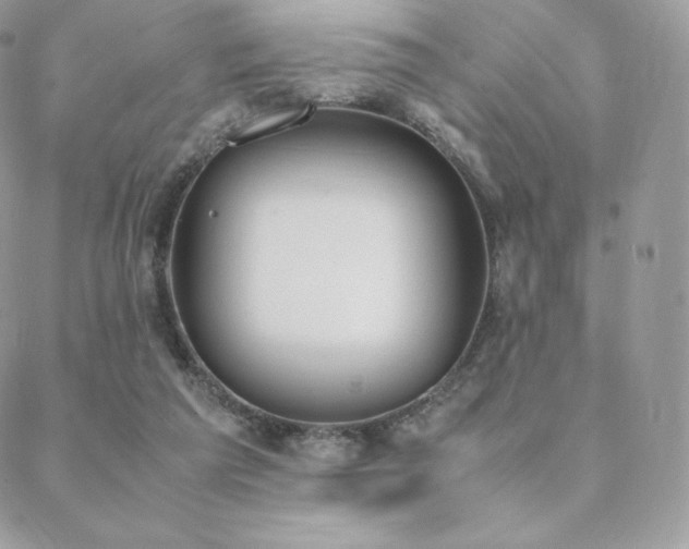 X0000089400209200706151235