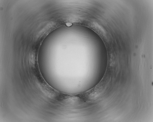 X0000089400210200706151235