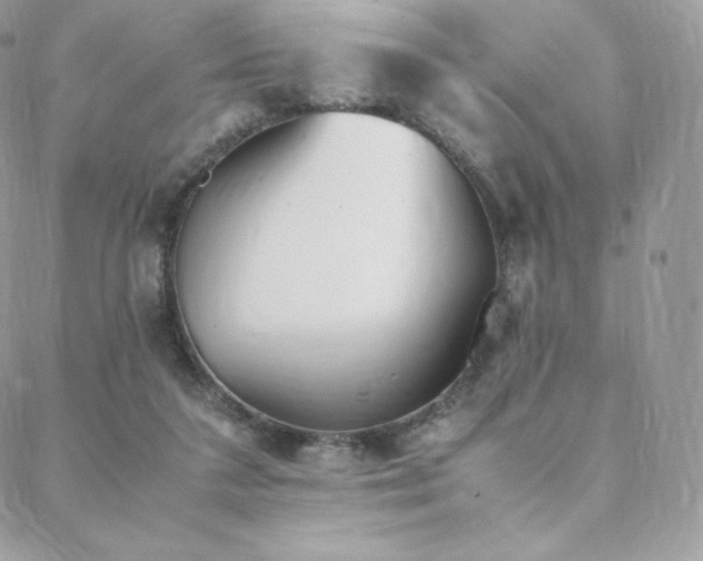 X0000089400211200706151235