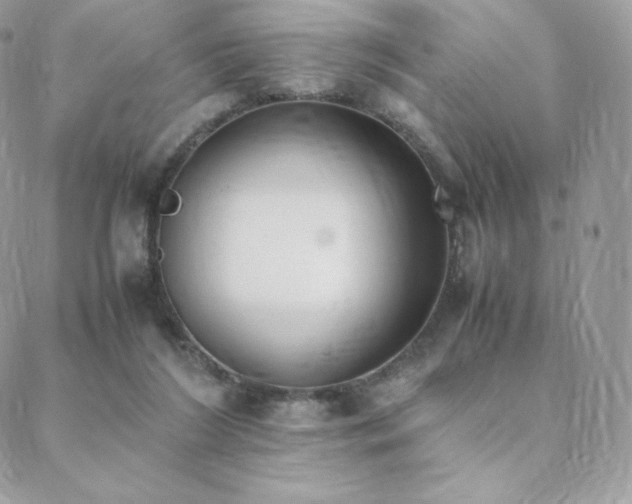 X0000089400212200706151235