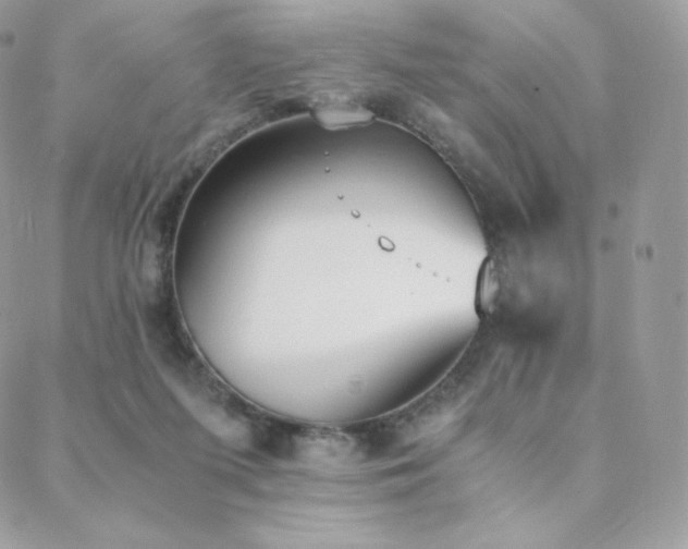 X0000089400215200706151235