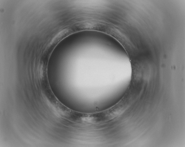 X0000089400216200706151235